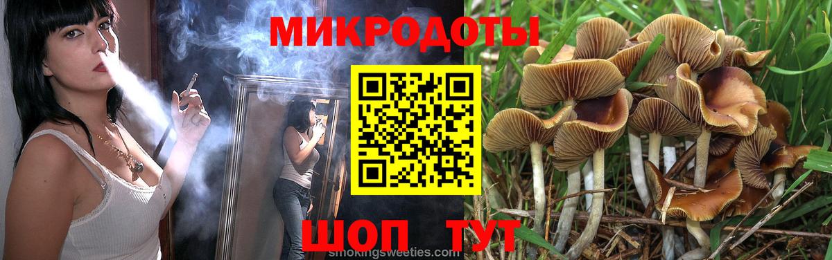 Новороссийск  Псилоцибиновые грибы MAGIC MUSHROOMS  Вход с VPN 